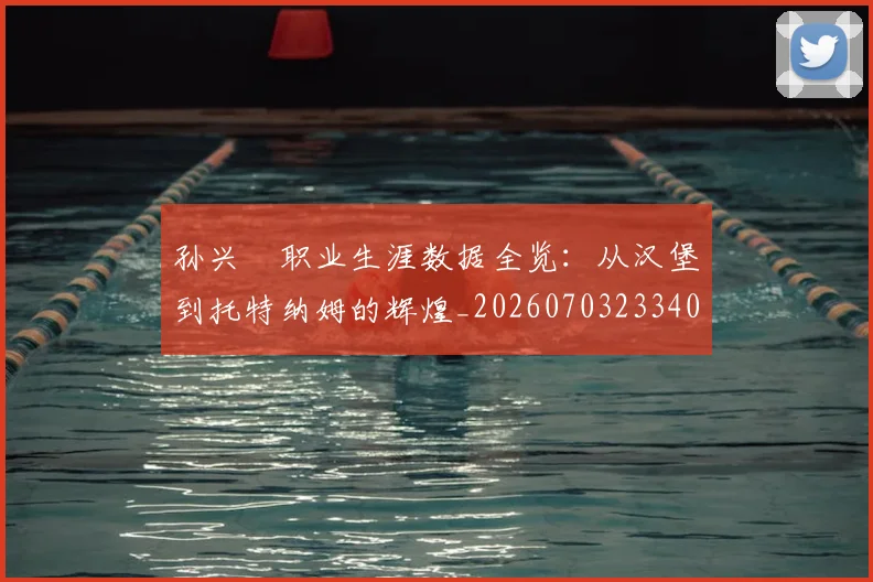 孙兴慜职业生涯数据全览:从汉堡到托特纳姆的辉煌_20260703233406