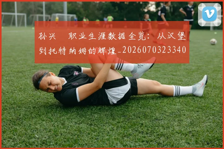 孙兴慜职业生涯数据全览：从汉堡到托特纳姆的辉煌_20260703233406